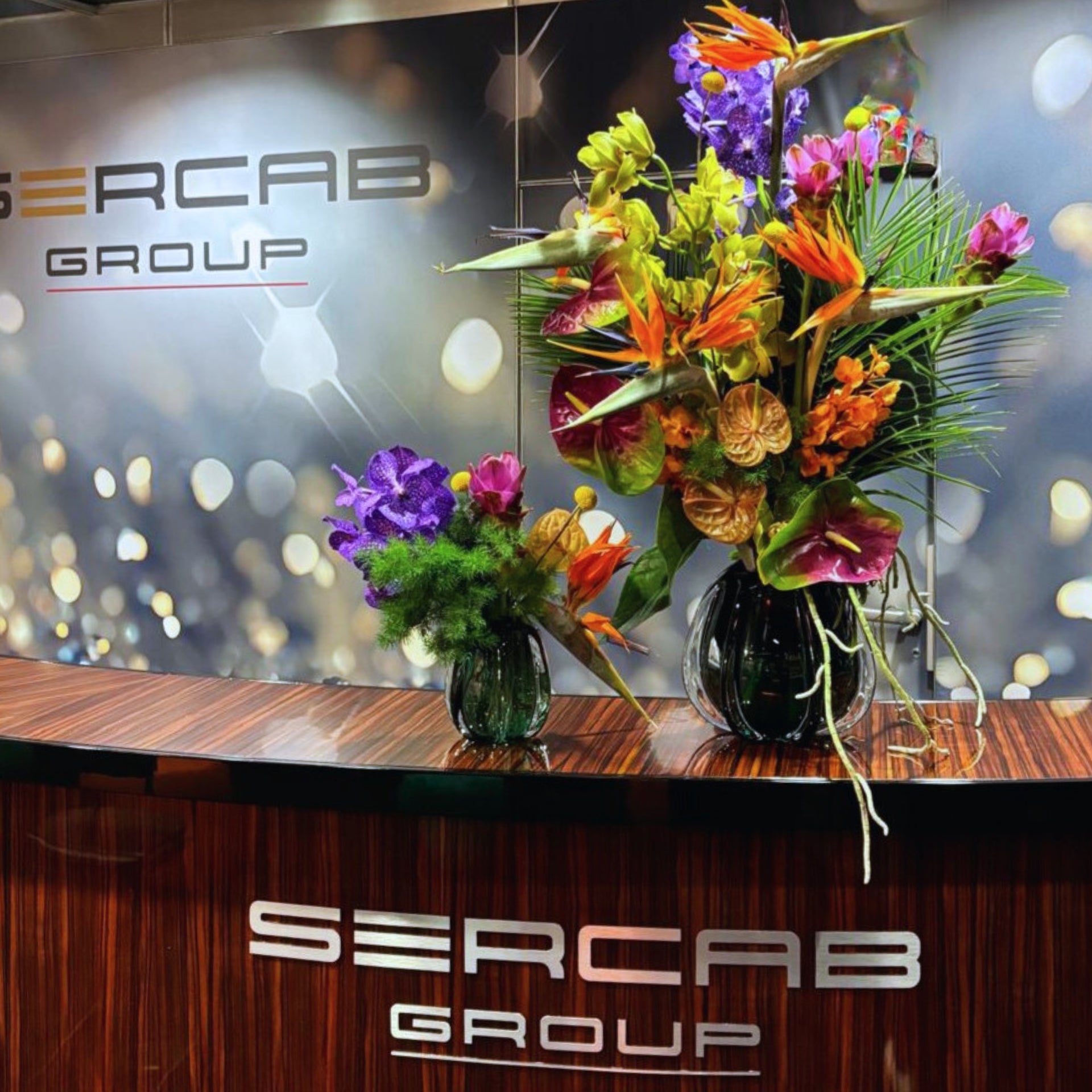 EPHJ 2024 | Sercab Group