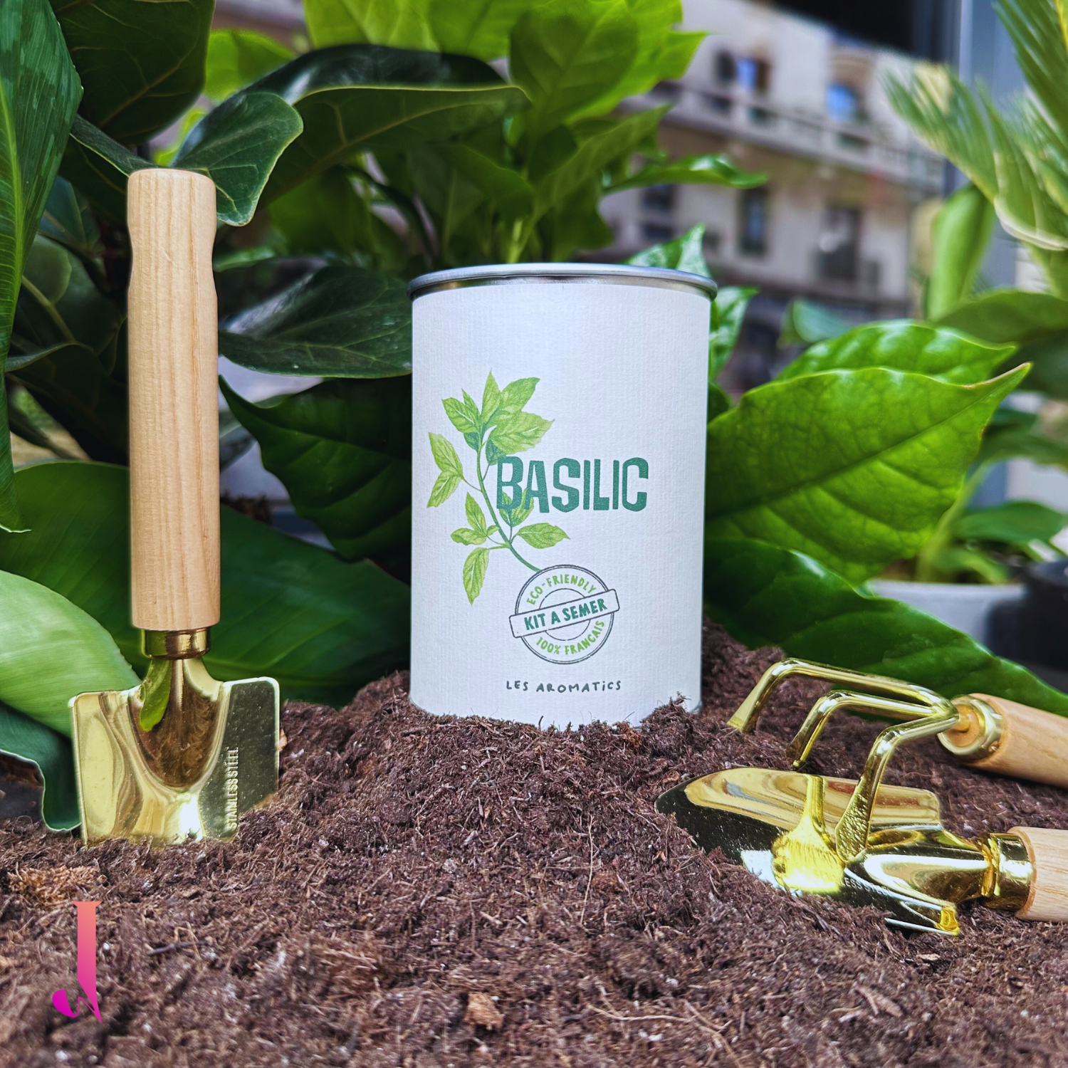 Boîte à pousser - Basilic