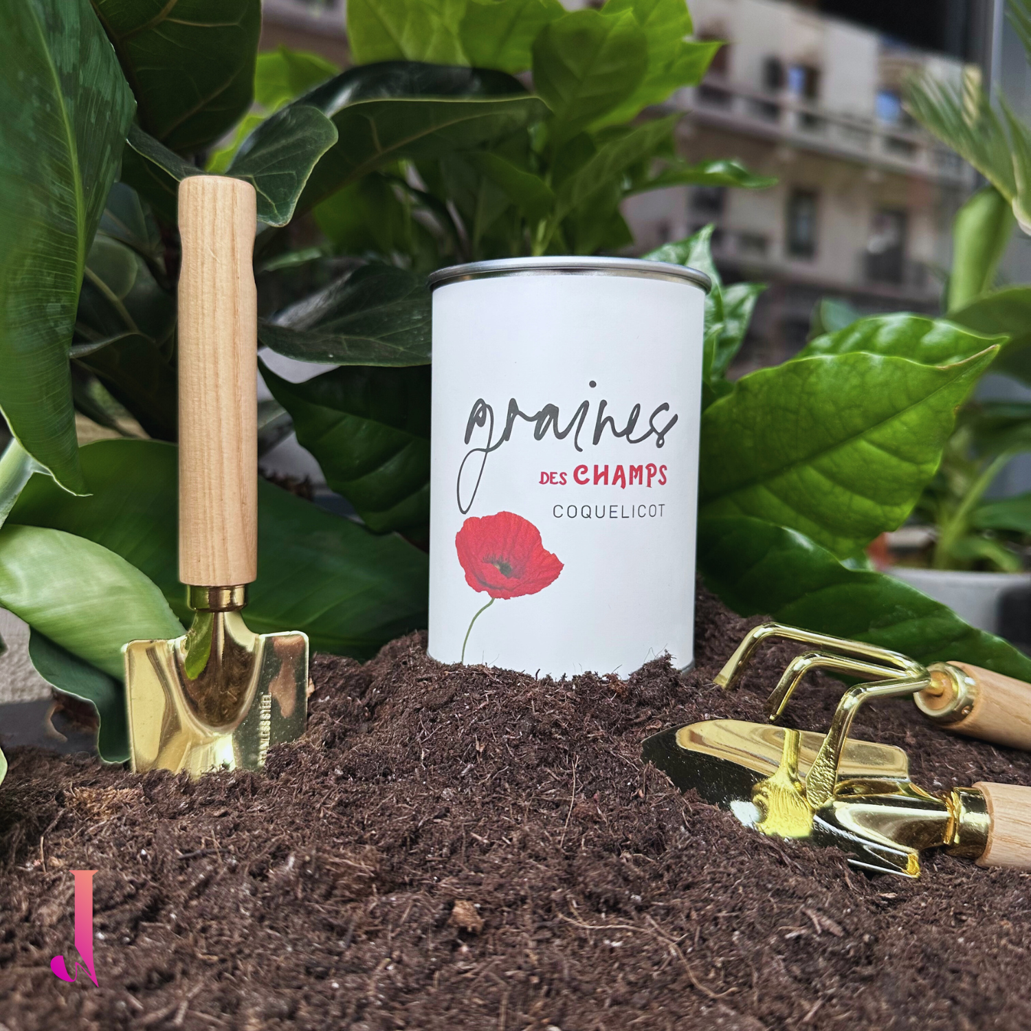 Boîte à pousser - Coquelicot