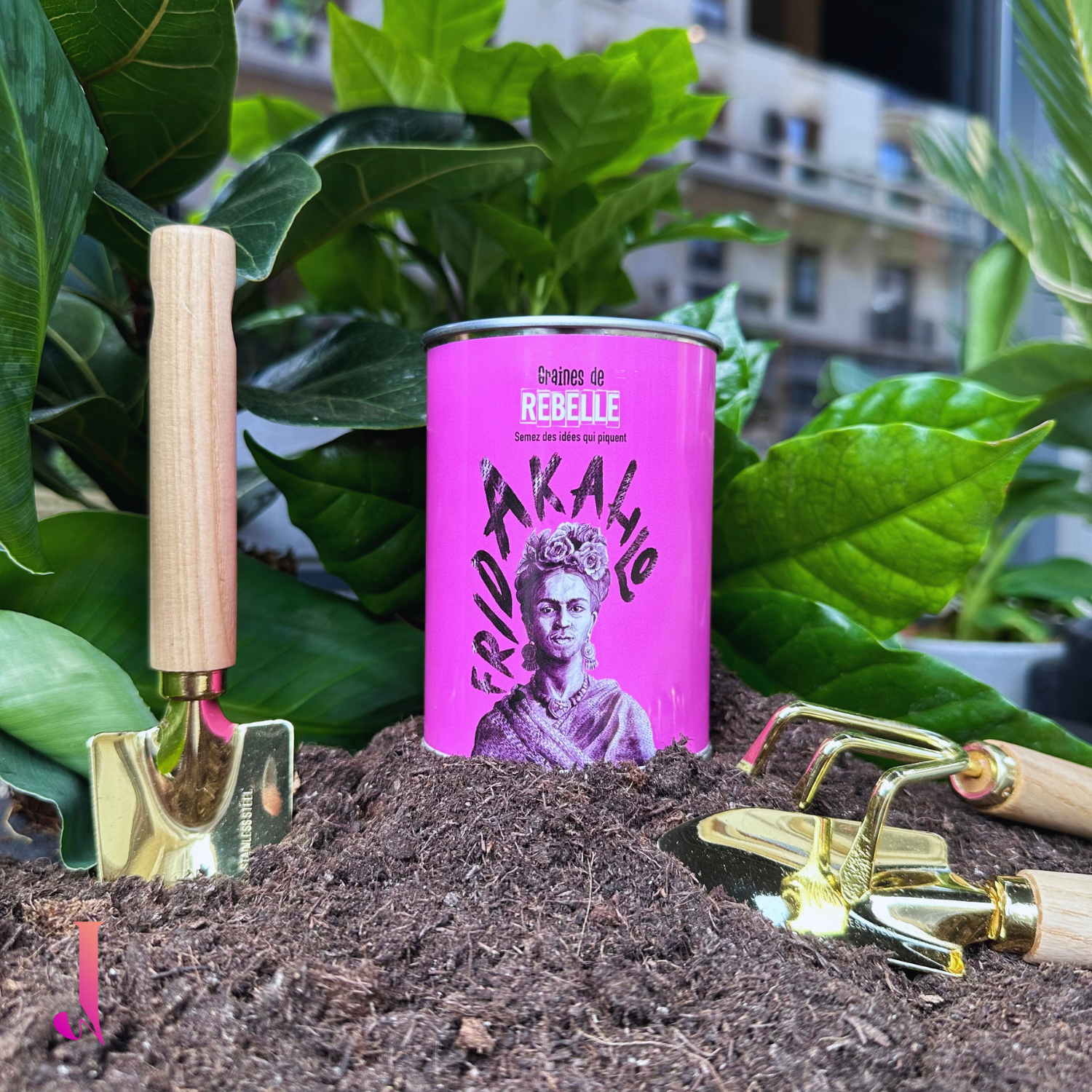 Boîte à pousser - Orties