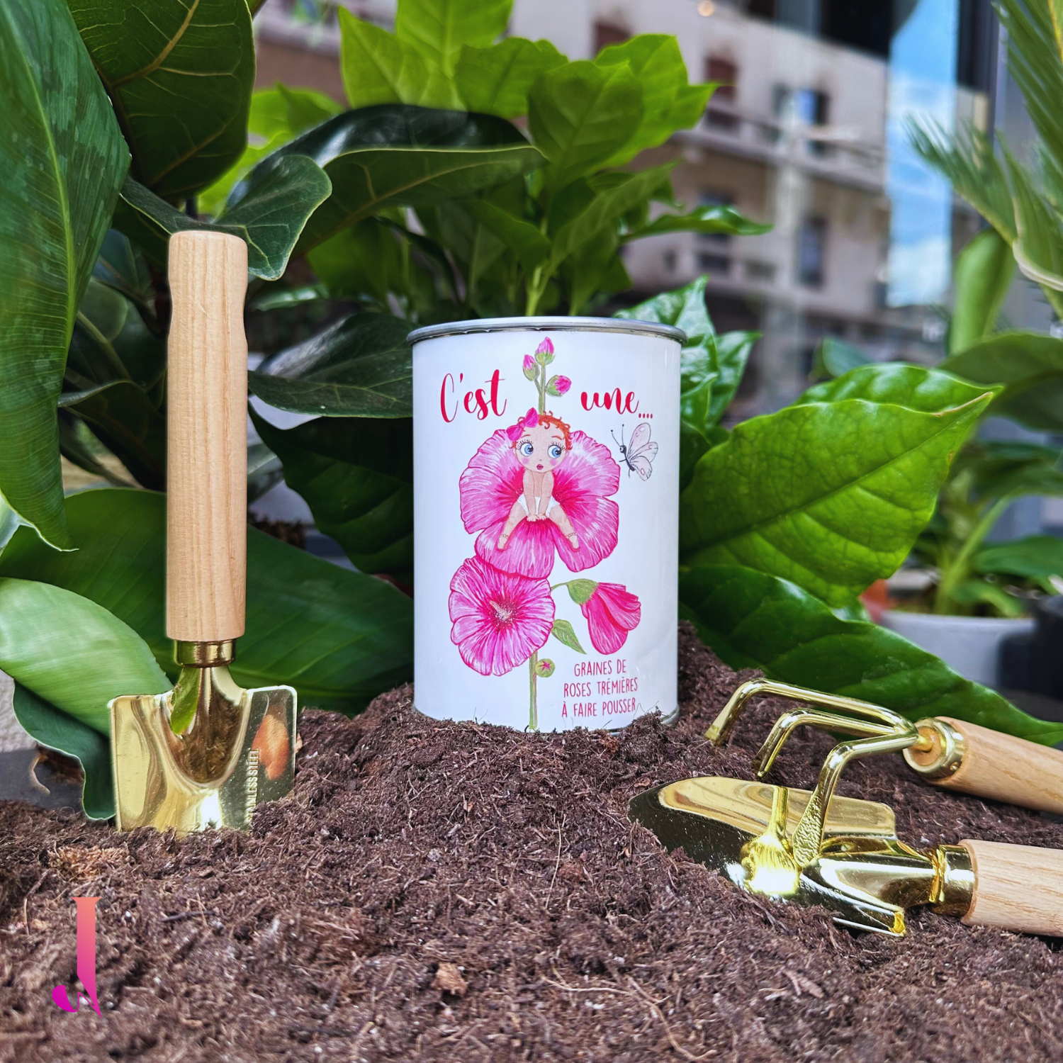 Boîte à pousser - Rose trémière