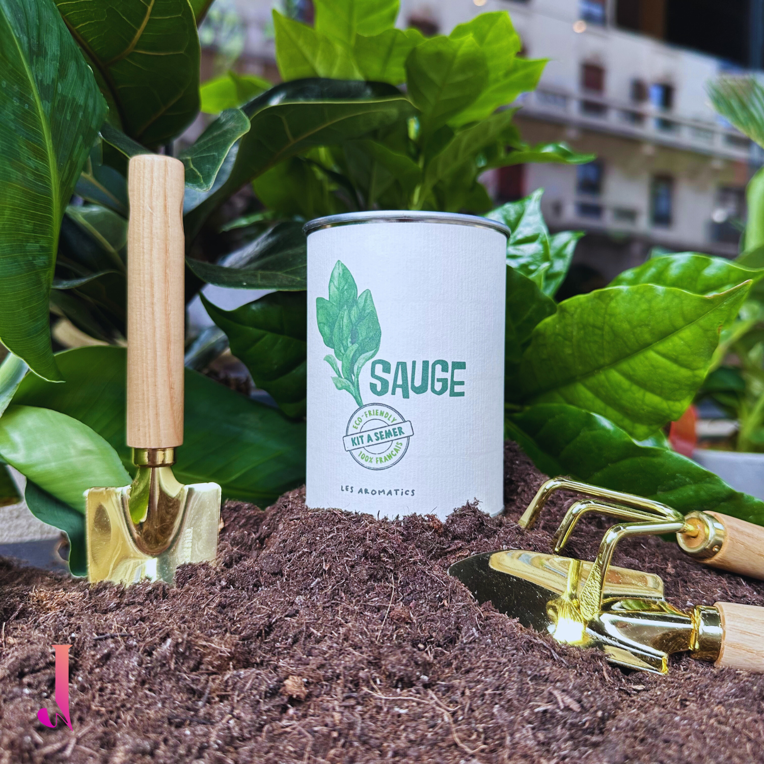 Boîte à pousser - Sauge