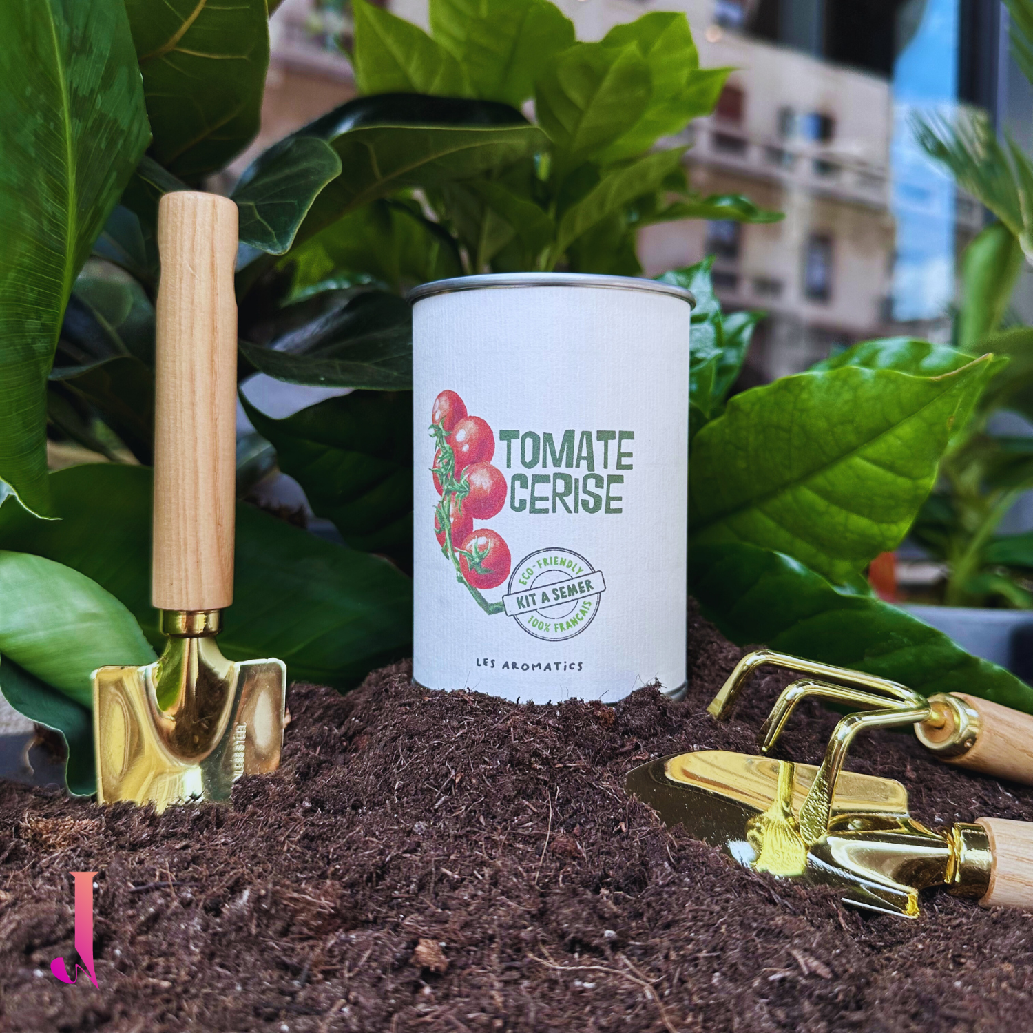 Boîte à pousser - Tomate cerise