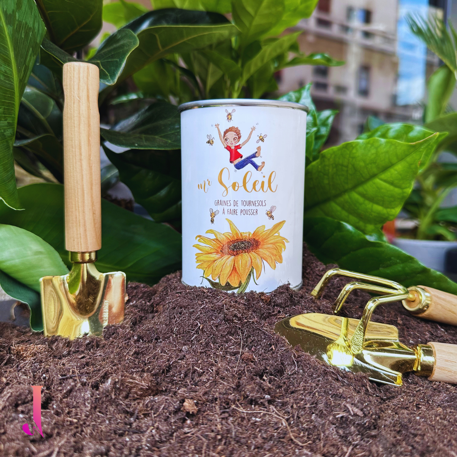 Boîte à pousser - Tournesol