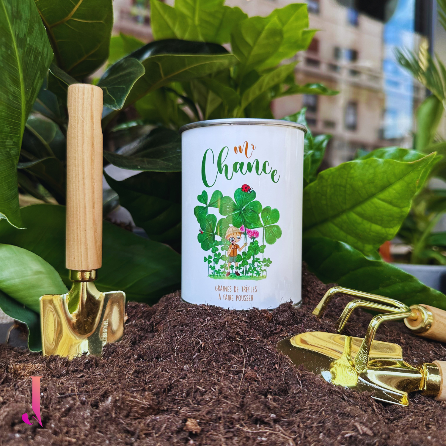 Boîte à pousser - Trèfles