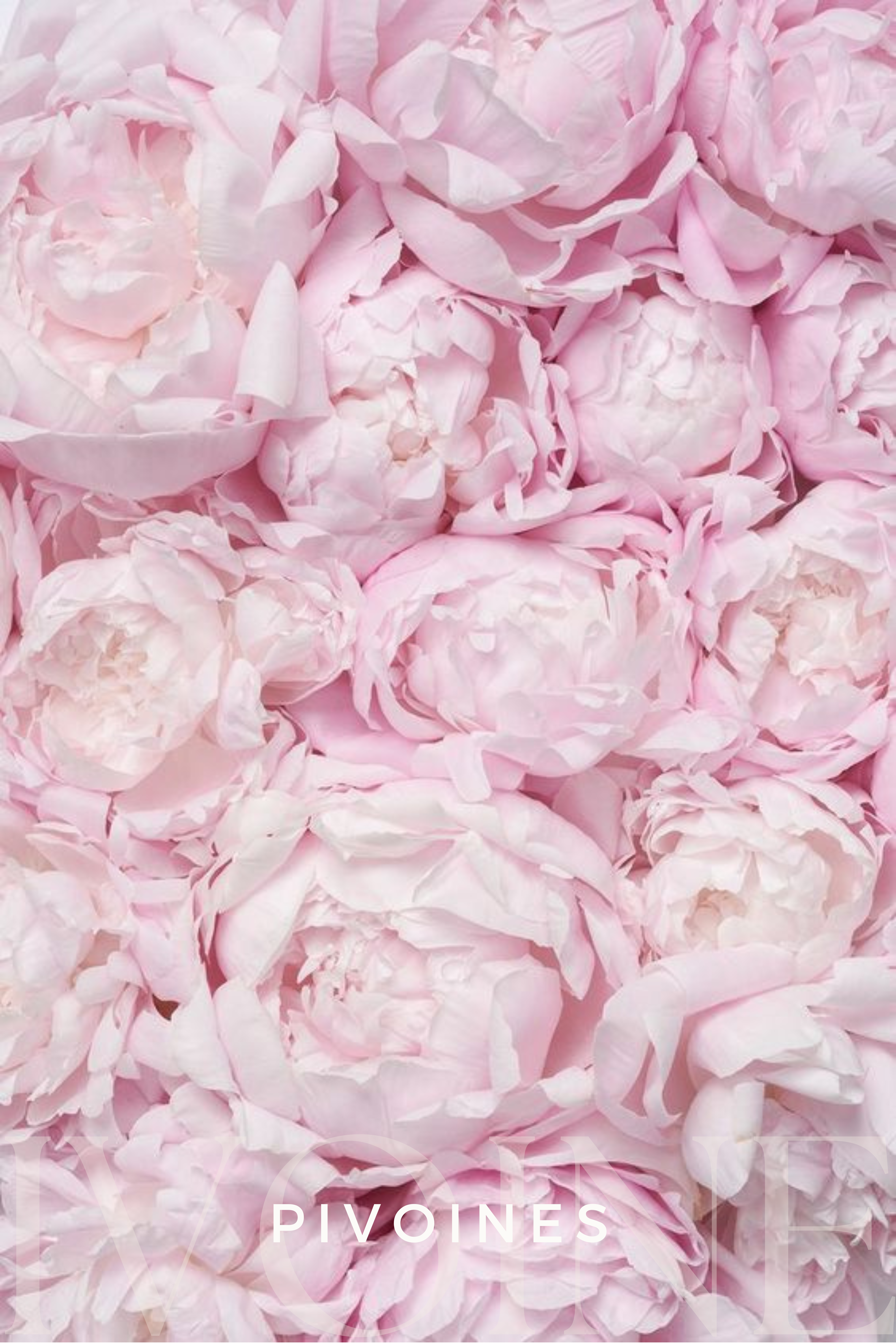 Peony Bouquet
