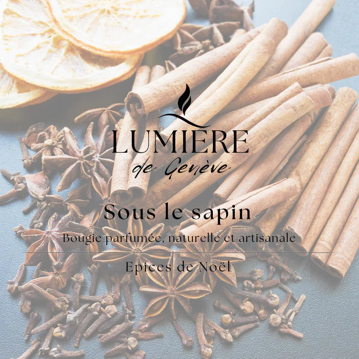 SOUS LE SAPIN