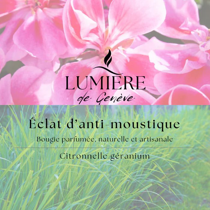 ÉCLAT D'ANTI-MOUSTIQUE