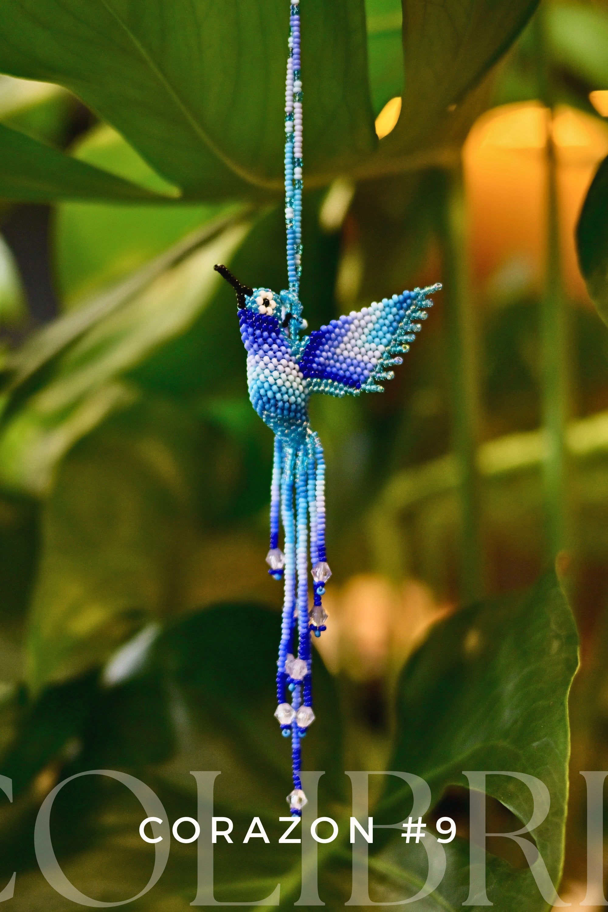 Colibris Corazon